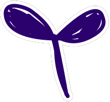 Направления оздоровления